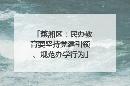 蒸湘区：民办教育要坚持党建引领、规范办学行为