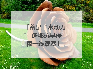 蓄足“水动力” 多地抗旱保粮一线观察