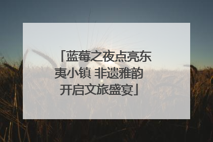 蓝莓之夜点亮东夷小镇 非遗雅韵开启文旅盛宴