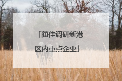 蔺佳调研新港区内重点企业