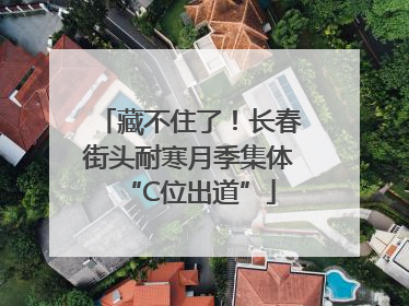 藏不住了！长春街头耐寒月季集体“C位出道”