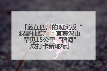 藏在四川的现实版“绿野仙踪”：宜宾深山罕见15公里“稻海”成打卡新地标