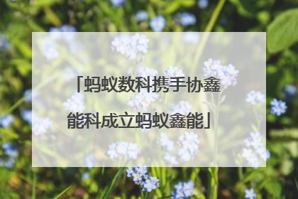 蚂蚁数科携手协鑫能科成立蚂蚁鑫能