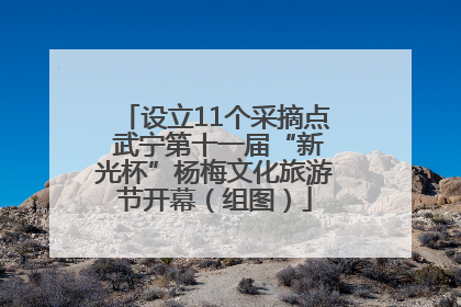 设立11个采摘点 武宁第十一届“新光杯”杨梅文化旅游节开幕（组图）