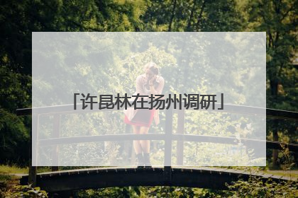 许昆林在扬州调研