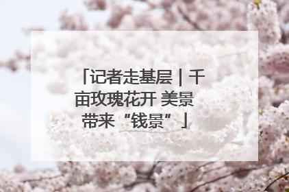 记者走基层｜千亩玫瑰花开 美景带来“钱景”