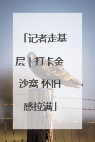 记者走基层｜打卡金沙窝 怀旧感拉满