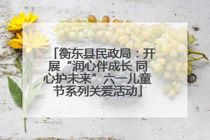 衡东县民政局：开展“润心伴成长 同心护未来”六一儿童节系列关爱活动