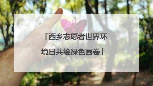 西乡志愿者世界环境日共绘绿色画卷