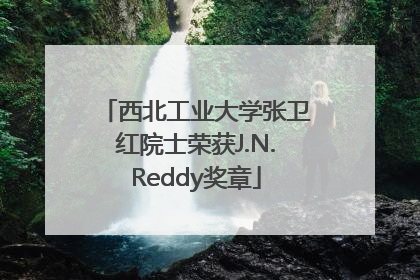 西北工业大学张卫红院士荣获J.N.Reddy奖章