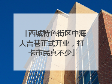 西城特色街区中海大吉巷正式开业，打卡市民真不少