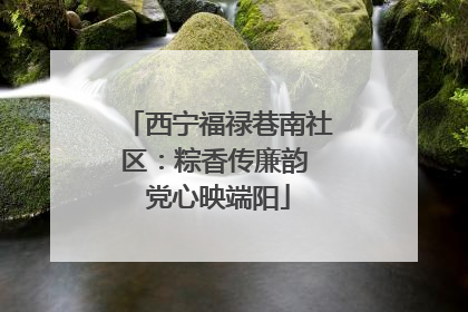 西宁福禄巷南社区：粽香传廉韵 党心映端阳