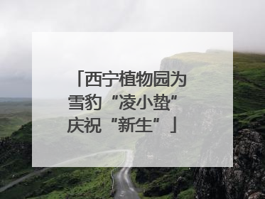 西宁植物园为雪豹“凌小蛰”庆祝“新生”
