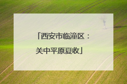西安市临潼区：关中平原夏收