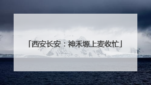 西安长安：神禾塬上麦收忙