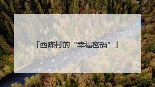西陈村的“幸福密码”