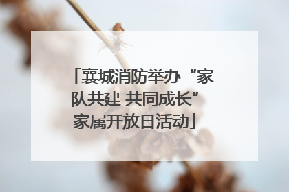 襄城消防举办“家队共建 共同成长”家属开放日活动