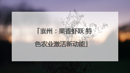 襄州：果香虾跃 特色农业激活新动能