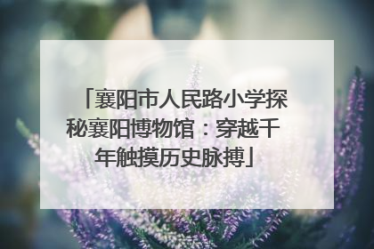 襄阳市人民路小学探秘襄阳博物馆：穿越千年触摸历史脉搏