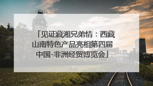 见证藏湘兄弟情：西藏山南特色产品亮相第四届中国-非洲经贸博览会