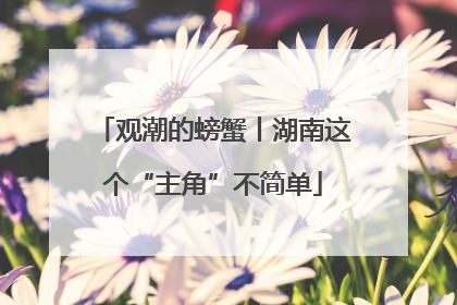 观潮的螃蟹丨湖南这个“主角”不简单