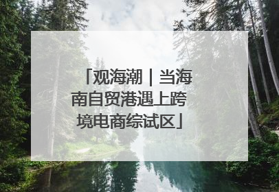 观海潮｜当海南自贸港遇上跨境电商综试区
