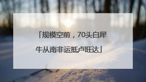 规模空前，70头白犀牛从南非运抵卢旺达