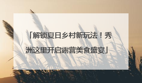解锁夏日乡村新玩法！秀洲这里开启露营美食盛宴