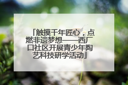 触摸千年匠心，点燃非遗梦想——西厂口社区开展青少年陶艺科技研学活动