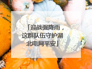 迎战强降雨，这群队伍守护湖北电网平安