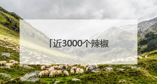 近3000个辣椒、番茄、玉米等蔬果新品种亮相，成都种业博览会在蓉开幕