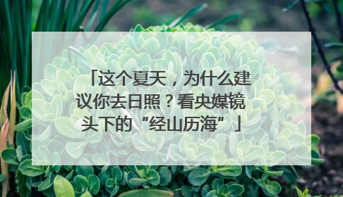 这个夏天，为什么建议你去日照？看央媒镜头下的“经山历海”