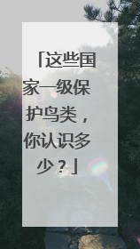 这些国家一级保护鸟类，你认识多少？