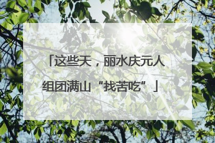 这些天，丽水庆元人组团满山“找苦吃”