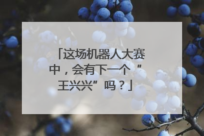 这场机器人大赛中，会有下一个“王兴兴”吗？