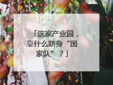 这家产业园，靠什么跻身“国家队”？