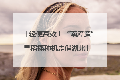 轻便高效！“南漳造”旱稻播种机走俏湖北