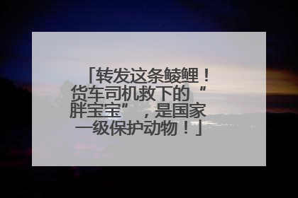 转发这条鲮鲤！货车司机救下的“胖宝宝”，是国家一级保护动物！