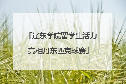 辽东学院留学生活力亮相丹东匹克球赛