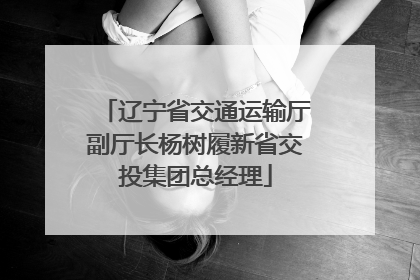 辽宁省交通运输厅副厅长杨树履新省交投集团总经理
