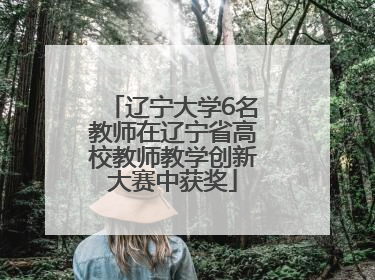 辽宁大学6名教师在辽宁省高校教师教学创新大赛中获奖