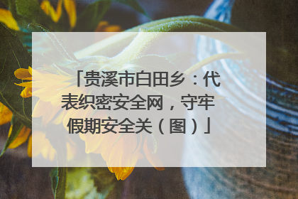 贵溪市白田乡：代表织密安全网，守牢假期安全关（图）