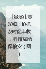 贵溪市志光镇：抢抓农时促丰收，科技赋能保粮安（图）
