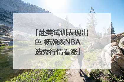 赴美试训表现出色 杨瀚森NBA选秀行情看涨