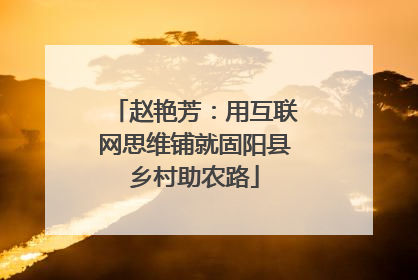 赵艳芳：用互联网思维铺就固阳县乡村助农路