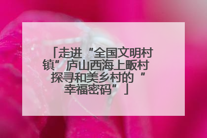 走进“全国文明村镇”庐山西海上畈村 探寻和美乡村的“幸福密码”