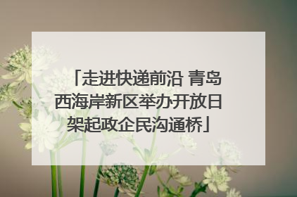 走进快递前沿 青岛西海岸新区举办开放日架起政企民沟通桥