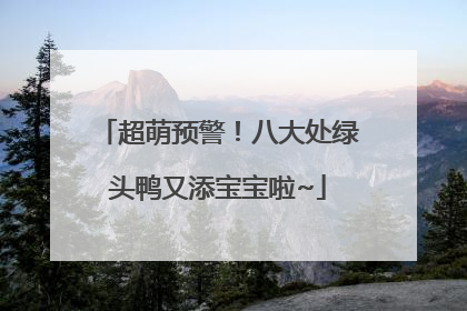 超萌预警！八大处绿头鸭又添宝宝啦~