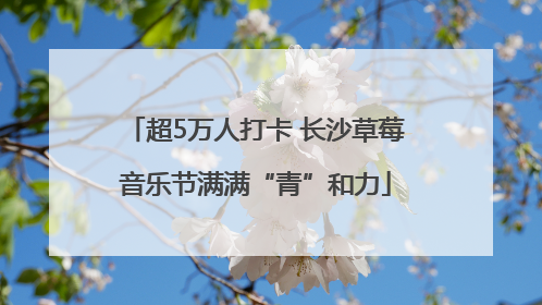 超5万人打卡 长沙草莓音乐节满满“青”和力