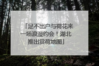足不出户与荷花来一场浪漫约会！湖北推出赏荷地图
